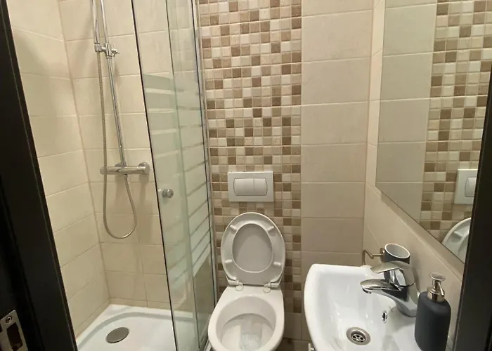 Ada's Luxury - Old 公寓 布拉索夫